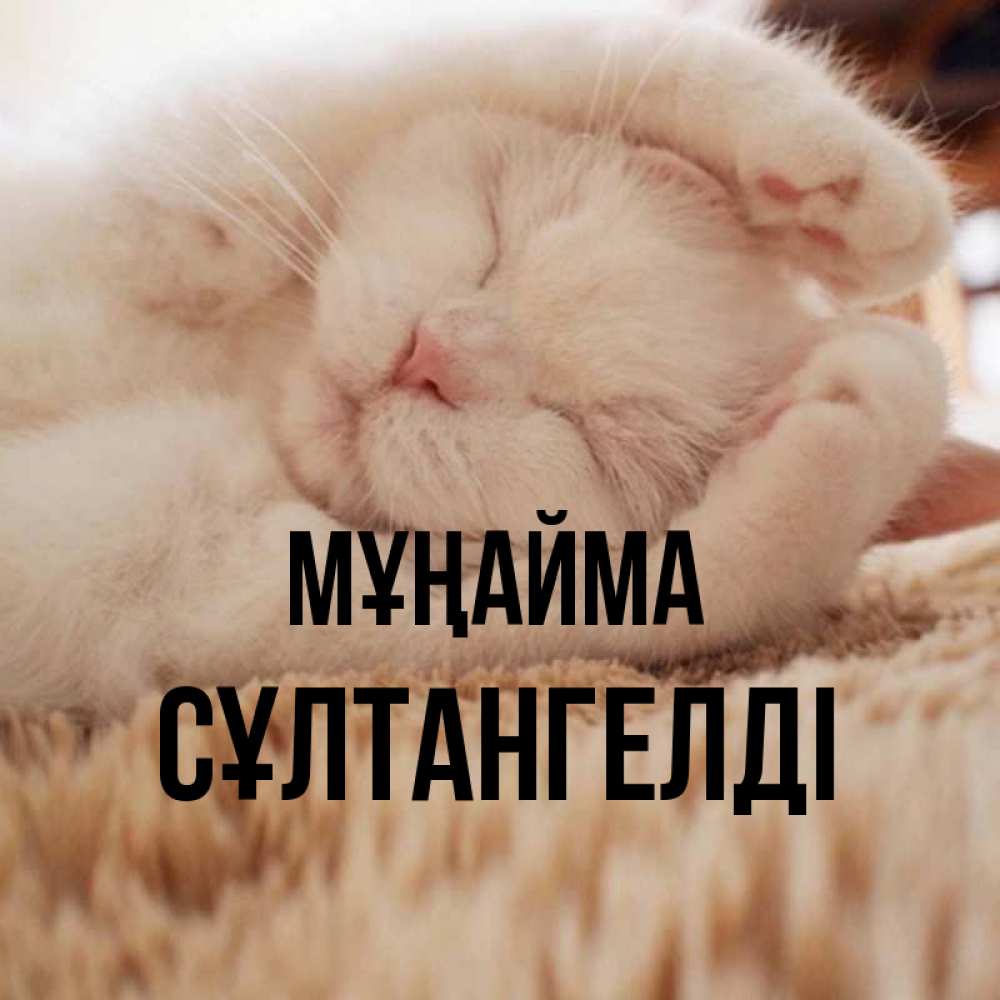 Күн сайын ашық хат с именем, СҰЛТАНГЕЛДІ Мұңайма Котенок спит Онлайн тегін жүктеп алу тілектері бар керемет карта 