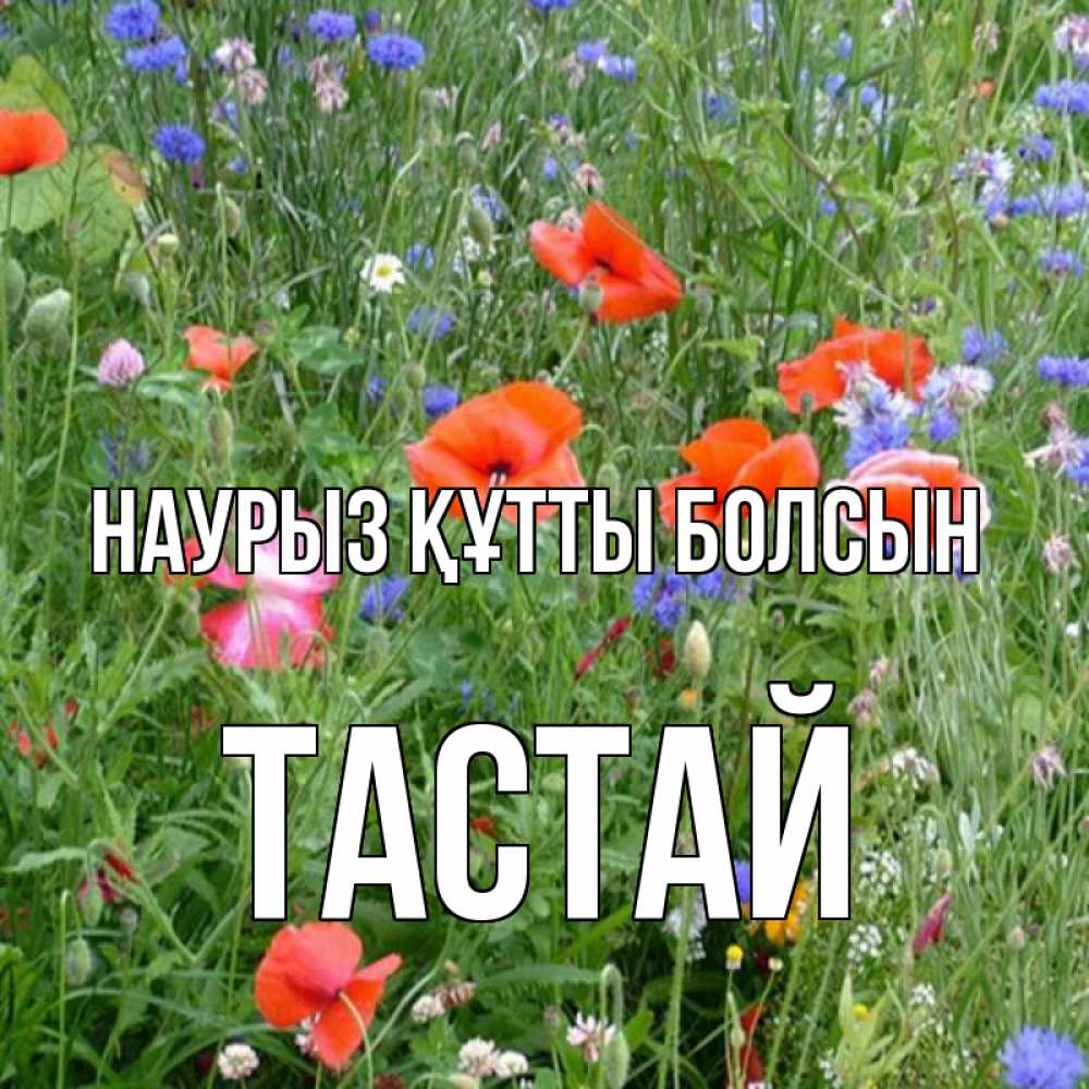 Күн сайын ашық хат с именем, ТАСТАЙ Наурыз құтты болсын наурыз  4 Онлайн тегін жүктеп алу тілектері бар керемет карта 