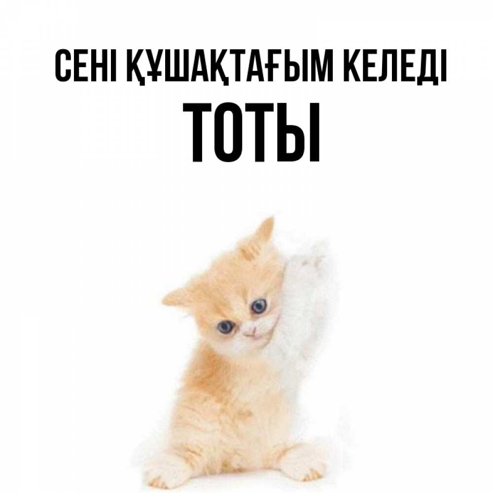 Күн сайын ашық хат с именем, ТОТЫ сені құшақтағым келеді я хочу очень скорее обнимаешек Онлайн тегін жүктеп алу тілектері бар керемет карта 
