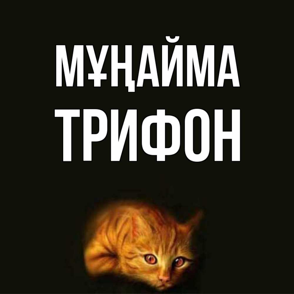 Күн сайын ашық хат с именем, Трифон Мұңайма лежащий кот в темноте Онлайн тегін жүктеп алу тілектері бар керемет карта 