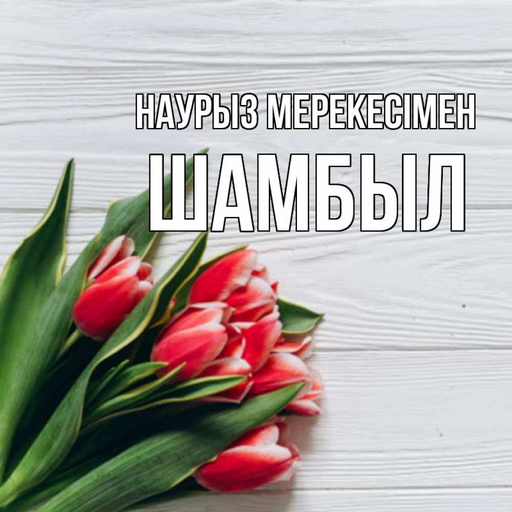 Күн сайын ашық хат с именем, ШАМБЫЛ Наурыз мерекесімен весна 2 Онлайн тегін жүктеп алу тілектері бар керемет карта 