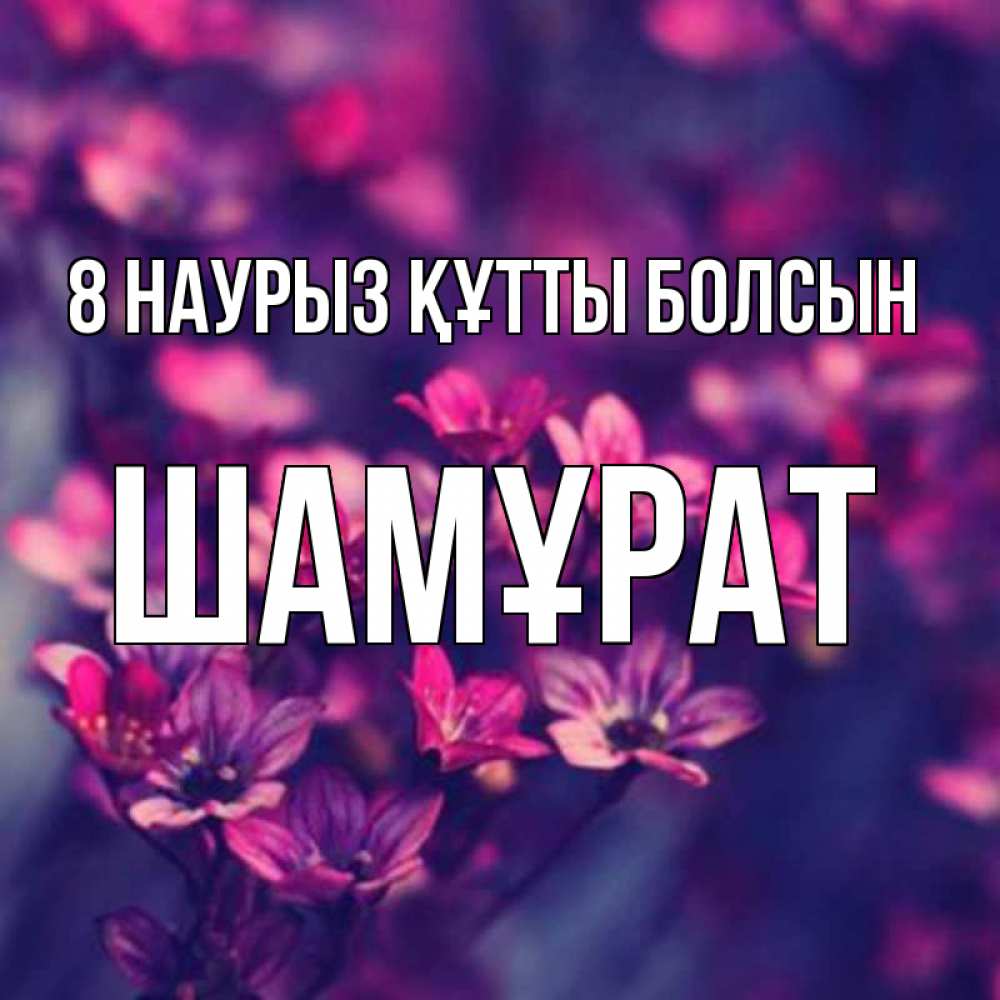 Күн сайын ашық хат с именем, ШАМҰРАТ 8 наурыз құтты болсын небольшие цветы 1 Онлайн тегін жүктеп алу тілектері бар керемет карта 