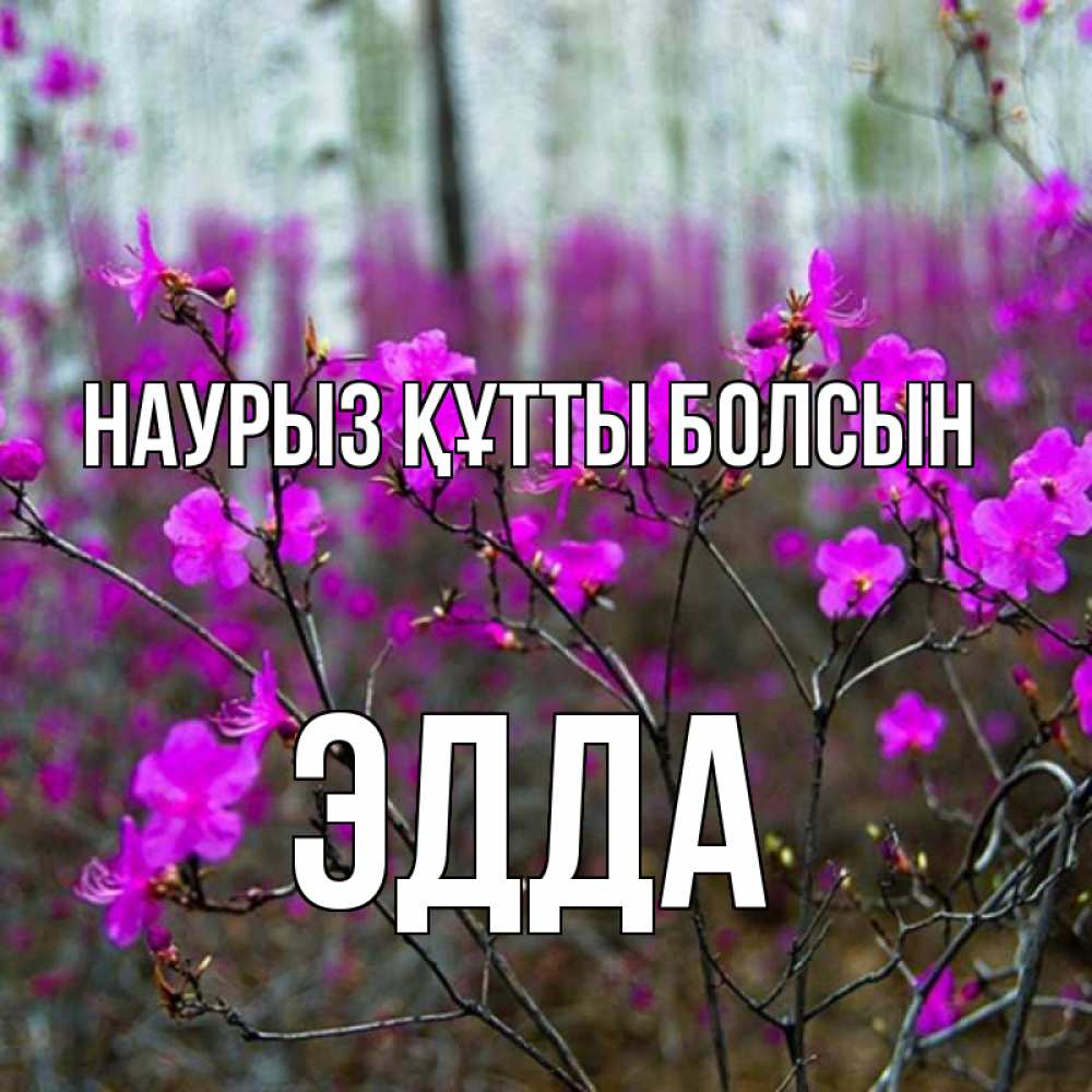 Күн сайын ашық хат с именем, Эдда Наурыз құтты болсын дикие цветы Онлайн тегін жүктеп алу тілектері бар керемет карта 