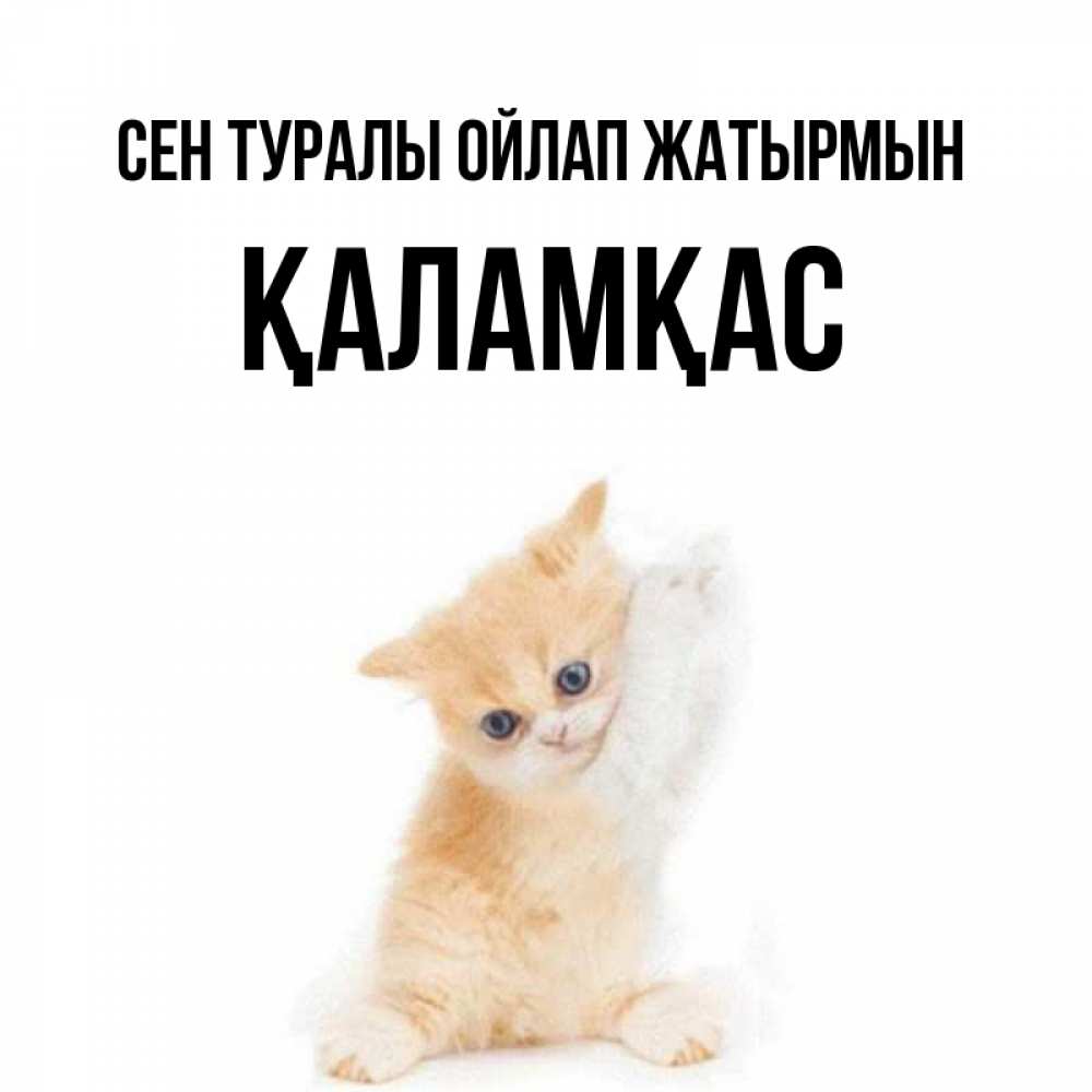 Күн сайын ашық хат с именем, ҚАЛАМҚАС Сен туралы ойлап жатырмын зверушки и милота Онлайн тегін жүктеп алу тілектері бар керемет карта 