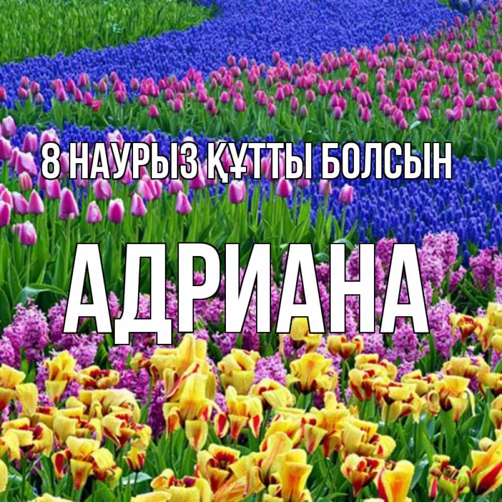 Күн сайын ашық хат с именем, Адриана 8 наурыз құтты болсын цветы Онлайн тегін жүктеп алу тілектері бар керемет карта 