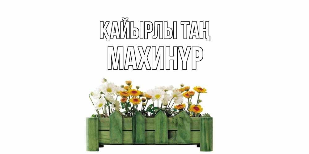 Күн сайын ашық хат с именем, МАХИНҮР Қайырлы таң цветы Онлайн тегін жүктеп алу тілектері бар керемет карта 