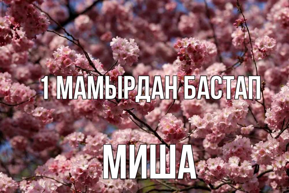Күн сайын ашық хат с именем, Миша 1 мамырдан бастап С 1 мая Онлайн тегін жүктеп алу тілектері бар керемет карта 
