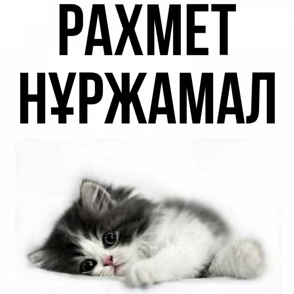 Күн сайын ашық хат с именем, НҰРЖАМАЛ рахмет черный и белый кот Онлайн тегін жүктеп алу тілектері бар керемет карта 