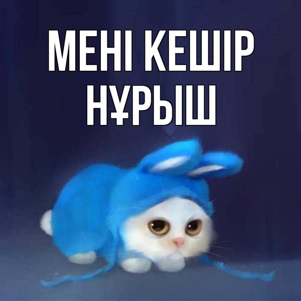 Күн сайын ашық хат с именем, Нұрыш Мені кешір невинный котозай просит прощения Онлайн тегін жүктеп алу тілектері бар керемет карта 