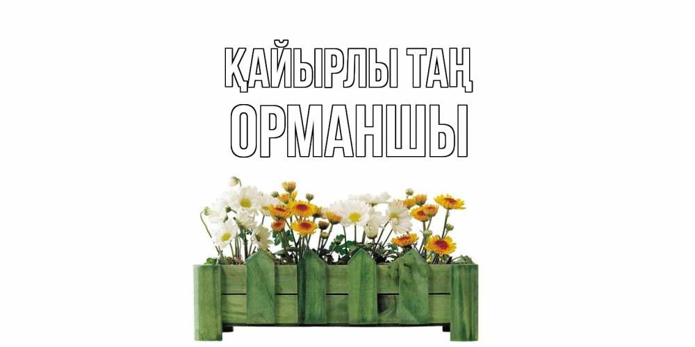 Күн сайын ашық хат с именем, ОРМАНШЫ Қайырлы таң цветы Онлайн тегін жүктеп алу тілектері бар керемет карта 