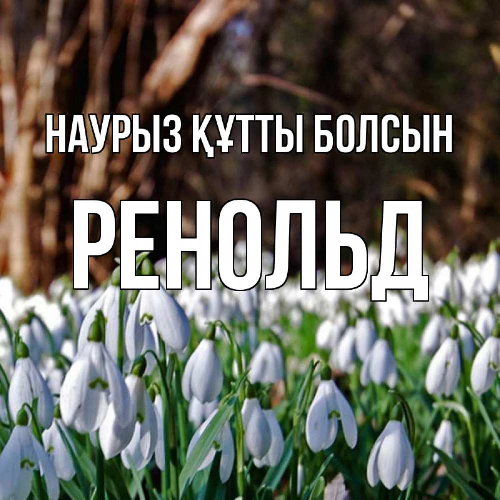 Күн сайын ашық хат с именем, Ренольд Наурыз құтты болсын с подснежниками 1 Онлайн тегін жүктеп алу тілектері бар керемет карта 