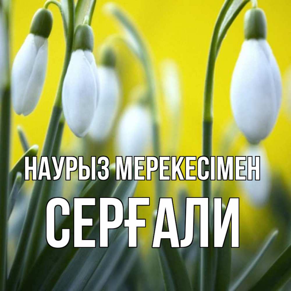 Күн сайын ашық хат с именем, СЕРҒАЛИ Наурыз мерекесімен весенние цветы Онлайн тегін жүктеп алу тілектері бар керемет карта 