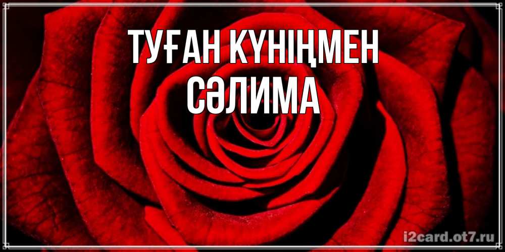 Күн сайын ашық хат с именем, СӘЛИМА Туған күніңмен алая роза Онлайн тегін жүктеп алу тілектері бар керемет карта 