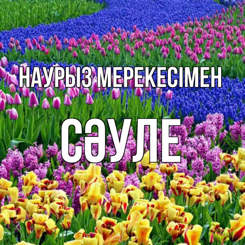 Күн сайын ашық хат с именем, СӘУЛЕ Наурыз мерекесімен цветы Онлайн тегін жүктеп алу тілектері бар керемет карта 