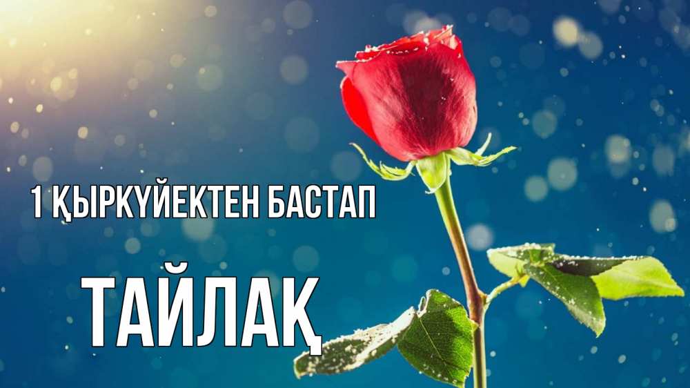 Күн сайын ашық хат с именем, ТАЙЛАҚ 1 қыркүйектен бастап с днем знаний Онлайн тегін жүктеп алу тілектері бар керемет карта 