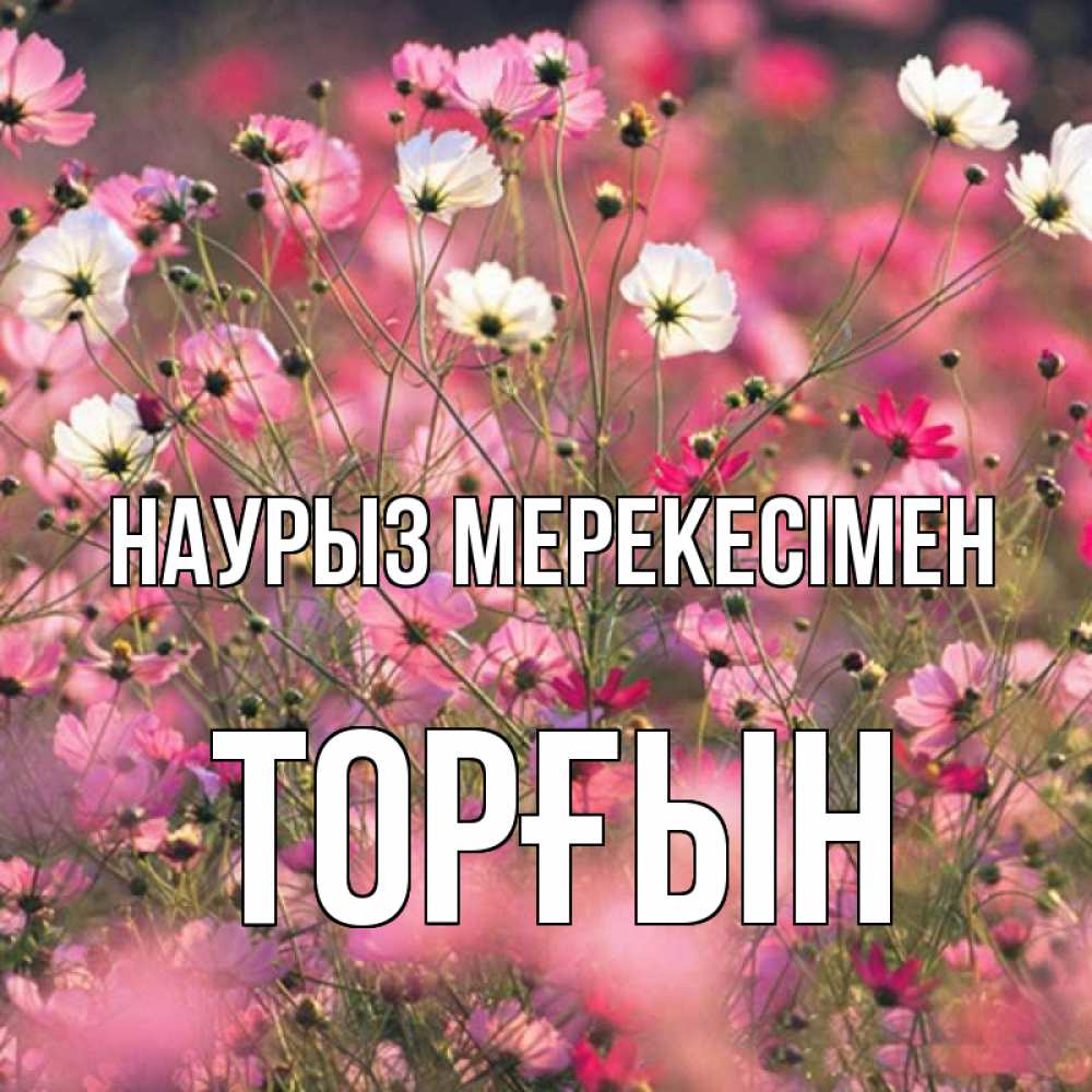 Күн сайын ашық хат с именем, ТОРҒЫН Наурыз мерекесімен красиво 1 Онлайн тегін жүктеп алу тілектері бар керемет карта 