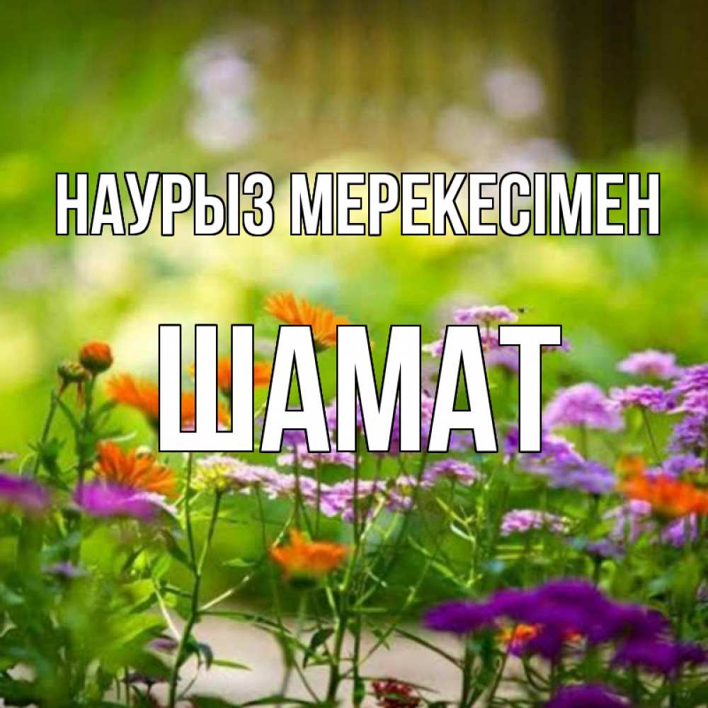 Күн сайын ашық хат с именем, ШАМАТ Наурыз мерекесімен цветы Онлайн тегін жүктеп алу тілектері бар керемет карта 