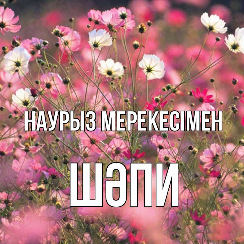 Күн сайын ашық хат с именем, ШӘПИ Наурыз мерекесімен красиво 1 Онлайн тегін жүктеп алу тілектері бар керемет карта 