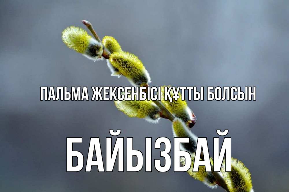 Күн сайын ашық хат с именем, Байызбай Пальма жексенбісі құтты болсын верба Онлайн тегін жүктеп алу тілектері бар керемет карта 