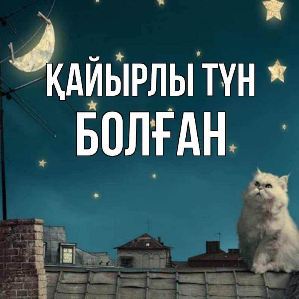 Күн сайын ашық хат с именем, Болған Қайырлы түн белый кот сидит на крыше Онлайн тегін жүктеп алу тілектері бар керемет карта 