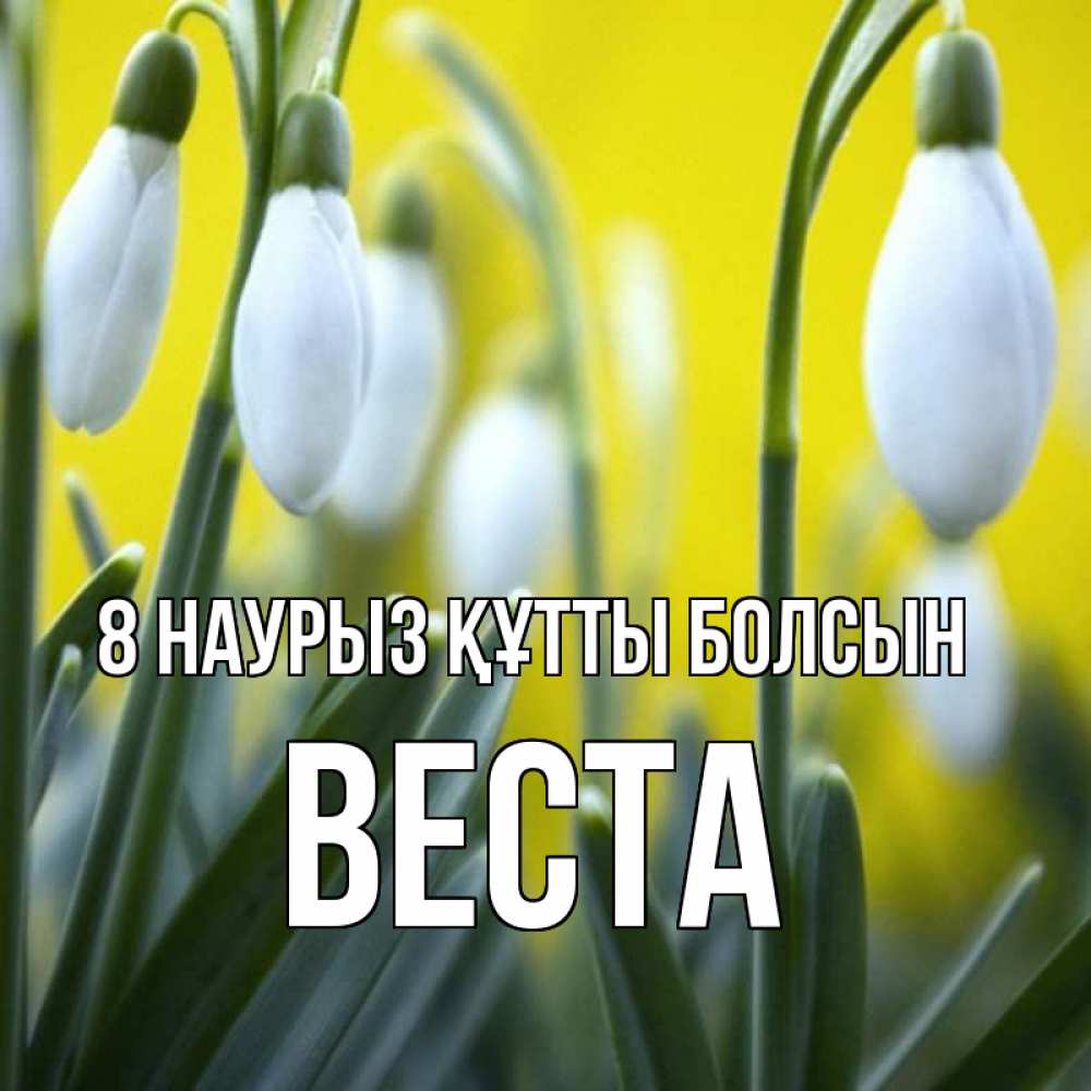 Күн сайын ашық хат с именем, Веста 8 наурыз құтты болсын весенние цветы Онлайн тегін жүктеп алу тілектері бар керемет карта 
