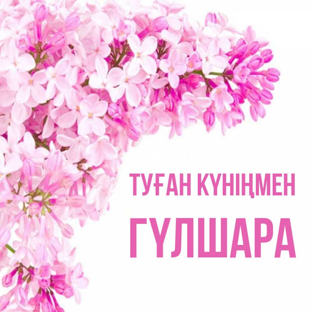 Күн сайын ашық хат с именем, ГҮЛШАРА Туған күніңмен Сирень на белом фоне Онлайн тегін жүктеп алу тілектері бар керемет карта 