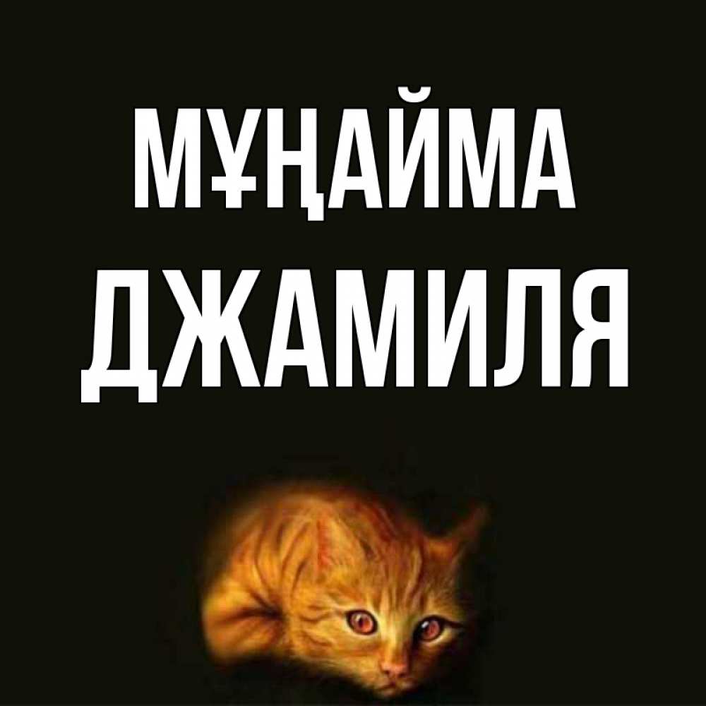 Күн сайын ашық хат с именем, Джамиля Мұңайма лежащий кот в темноте Онлайн тегін жүктеп алу тілектері бар керемет карта 