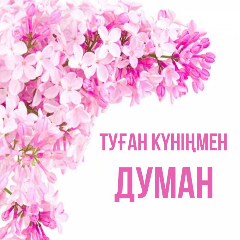Күн сайын ашық хат с именем, Думан Туған күніңмен Сирень на белом фоне Онлайн тегін жүктеп алу тілектері бар керемет карта 