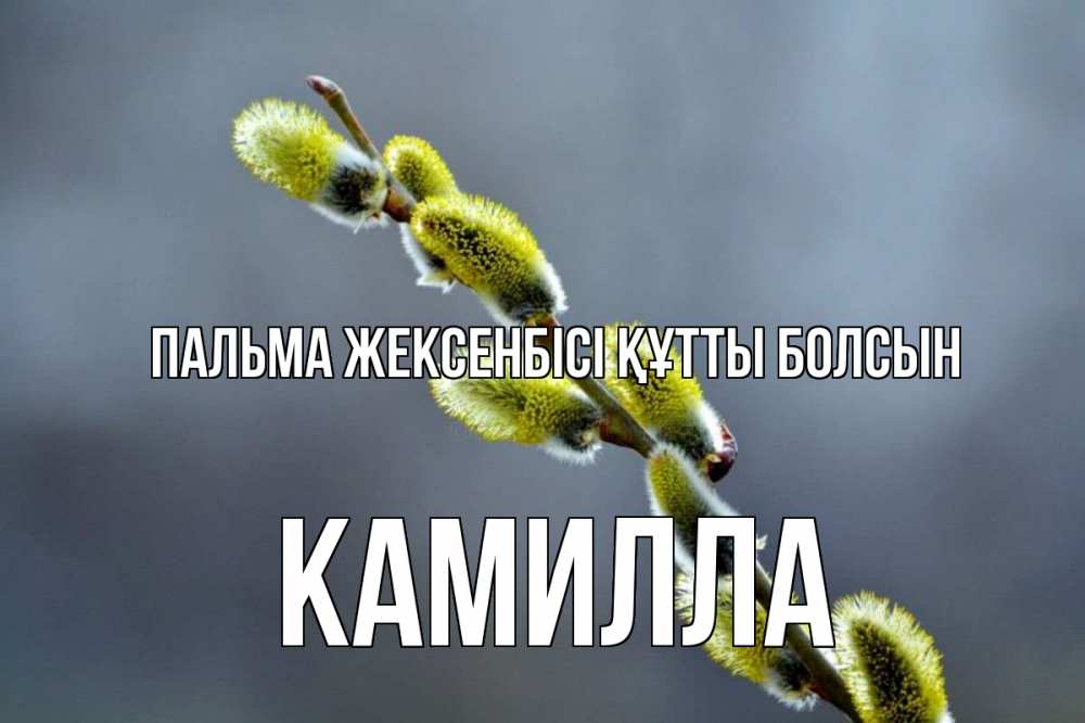 Күн сайын ашық хат с именем, Камилла Пальма жексенбісі құтты болсын верба Онлайн тегін жүктеп алу тілектері бар керемет карта 