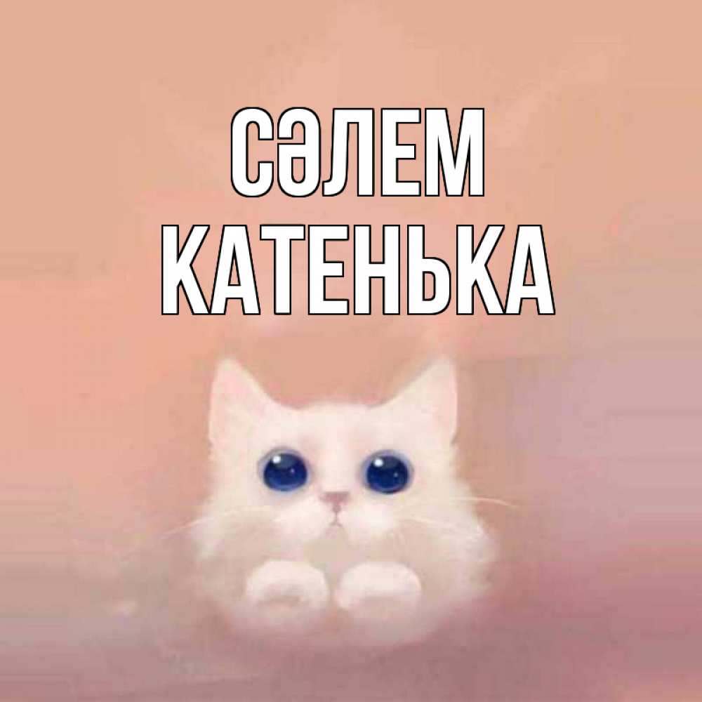 Күн сайын ашық хат с именем, Катенька Сәлем котик белый в полете Онлайн тегін жүктеп алу тілектері бар керемет карта 