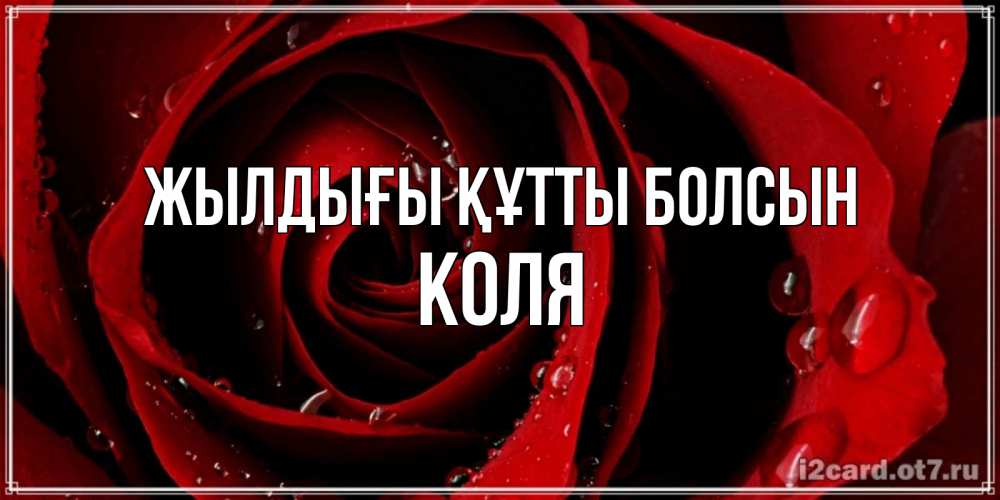 Күн сайын ашық хат с именем, Коля Жылдығы құтты болсын крупная бордовая роза Онлайн тегін жүктеп алу тілектері бар керемет карта 