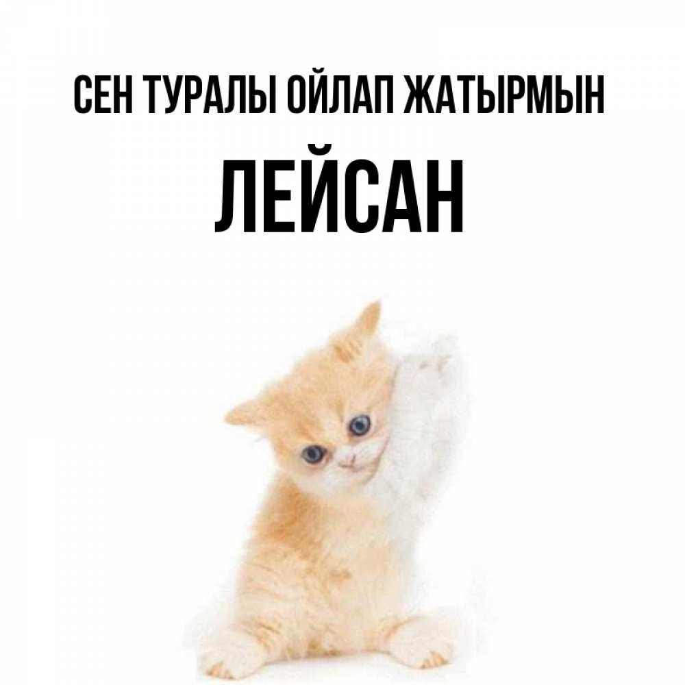 Күн сайын ашық хат с именем, Лейсан Сен туралы ойлап жатырмын зверушки и милота Онлайн тегін жүктеп алу тілектері бар керемет карта 