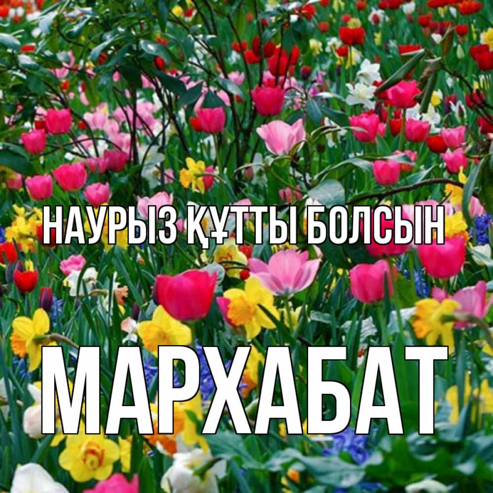 Күн сайын ашық хат с именем, МАРХАБАТ Наурыз құтты болсын с наурызом поздравления для женщины Онлайн тегін жүктеп алу тілектері бар керемет карта 