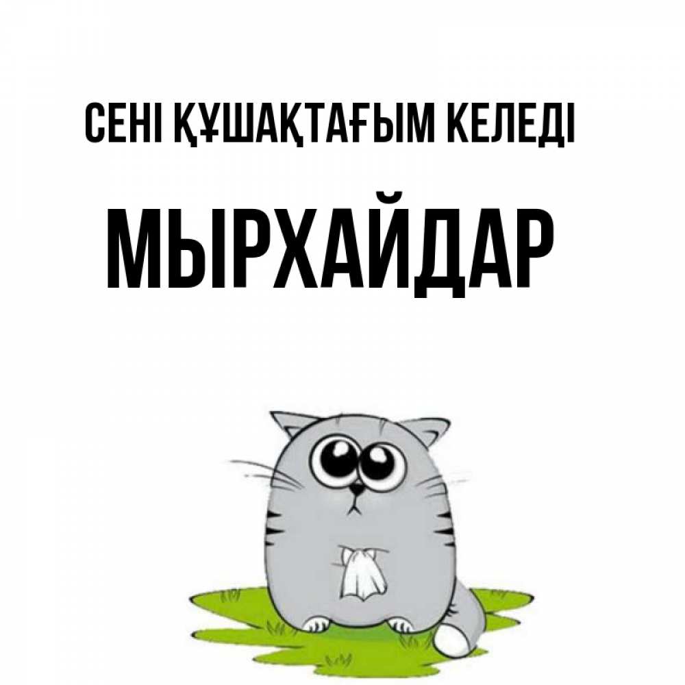 Күн сайын ашық хат с именем, МЫРХАЙДАР сені құшақтағым келеді котик теребит платочек сидя на травке Онлайн тегін жүктеп алу тілектері бар керемет карта 