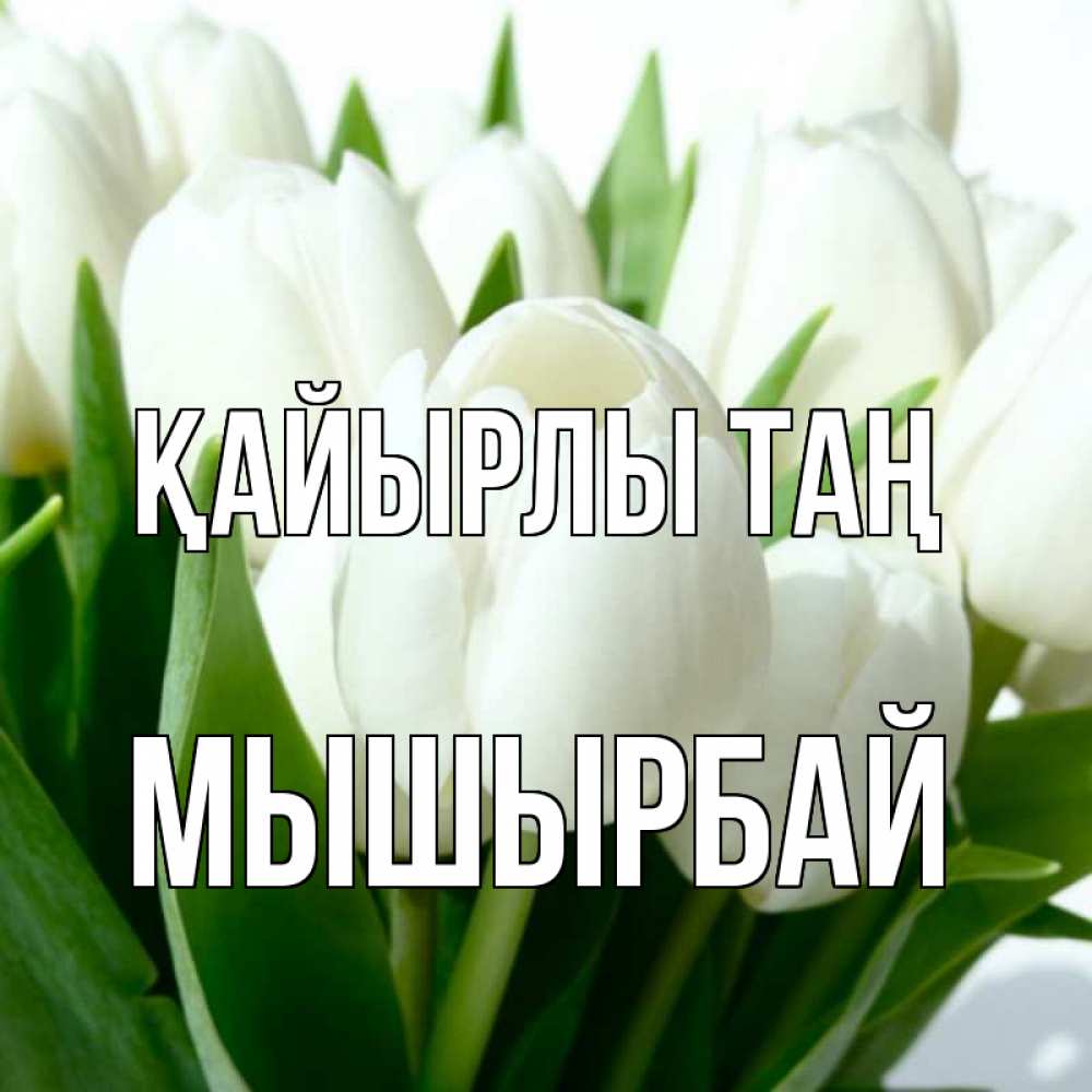 Күн сайын ашық хат с именем, МЫШЫРБАЙ Қайырлы таң открытки на каждый день по именам Онлайн тегін жүктеп алу тілектері бар керемет карта 