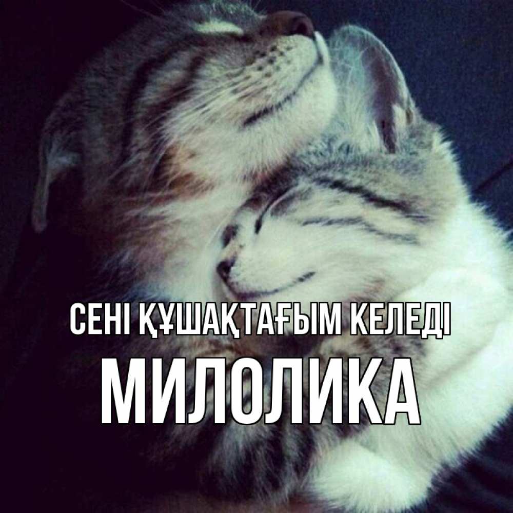 Күн сайын ашық хат с именем, Милолика сені құшақтағым келеді полосатики Онлайн тегін жүктеп алу тілектері бар керемет карта 
