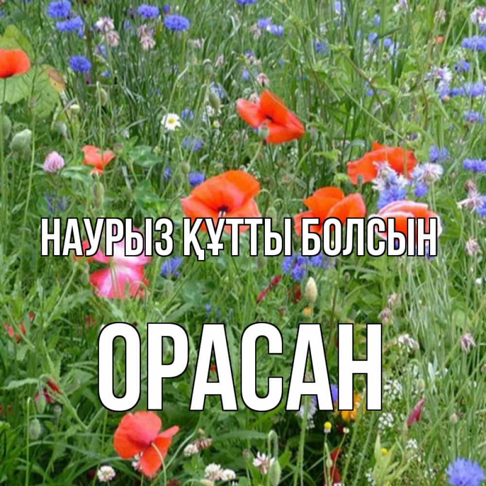 Күн сайын ашық хат с именем, ОРАСАН Наурыз құтты болсын наурыз  4 Онлайн тегін жүктеп алу тілектері бар керемет карта 