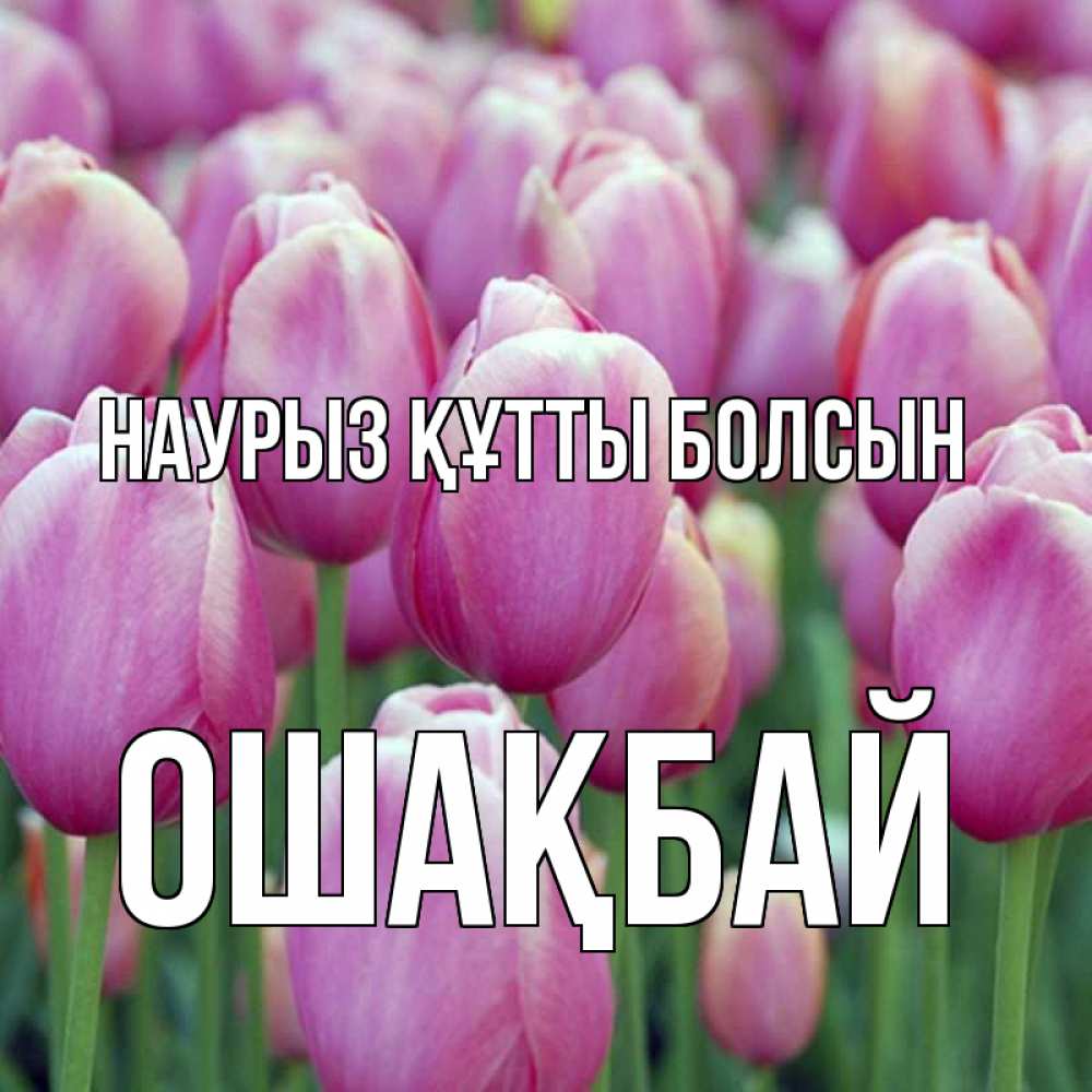 Күн сайын ашық хат с именем, ОШАҚБАЙ Наурыз құтты болсын на наурыз  день 3 Онлайн тегін жүктеп алу тілектері бар керемет карта 