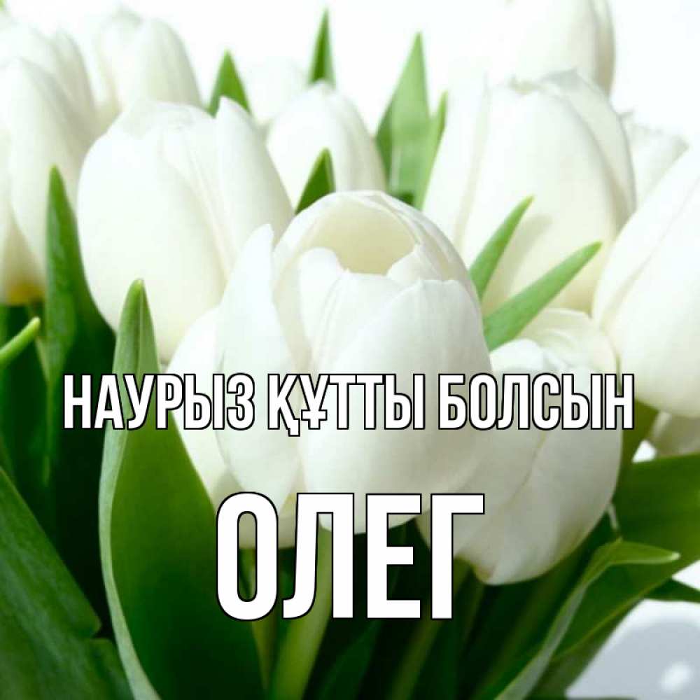 Күн сайын ашық хат с именем, Олег Наурыз құтты болсын цветы Онлайн тегін жүктеп алу тілектері бар керемет карта 