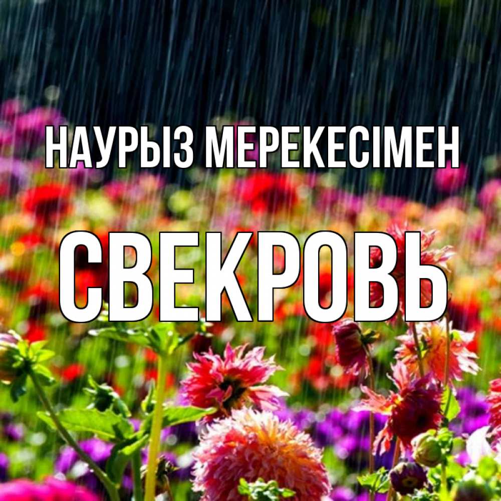 Күн сайын ашық хат с именем, Свекровь Наурыз мерекесімен цветы под дождиком к международному женскому дню Онлайн тегін жүктеп алу тілектері бар керемет карта 
