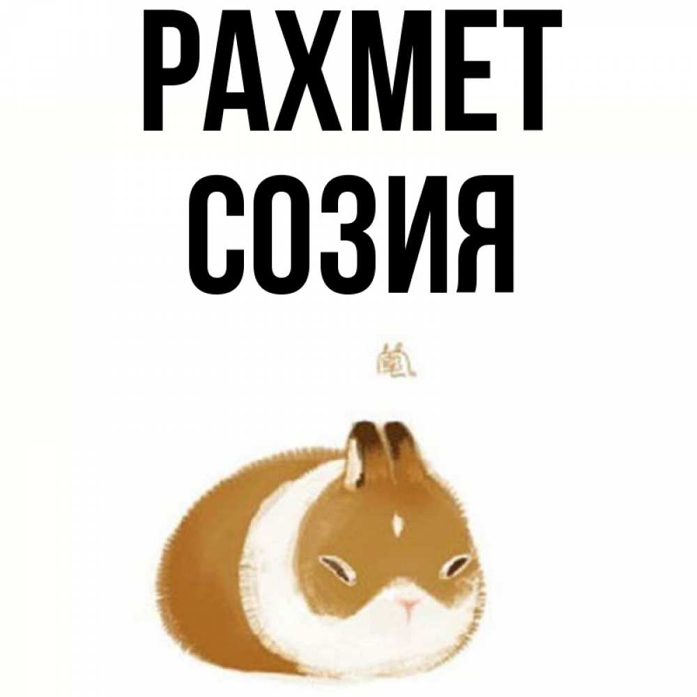 Күн сайын ашық хат с именем, Созия рахмет коричнево белый домашний питомец Онлайн тегін жүктеп алу тілектері бар керемет карта 