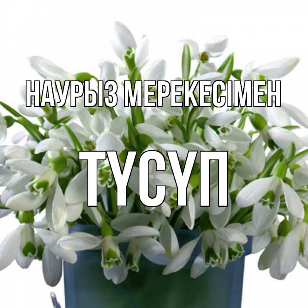 Күн сайын ашық хат с именем, ТҮСҮП Наурыз мерекесімен цветы к наурызу новый год в Казахстане Онлайн тегін жүктеп алу тілектері бар керемет карта 