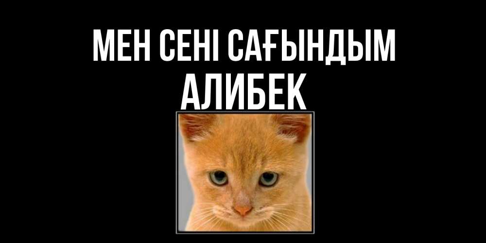 Күн сайын ашық хат с именем, Алибек Мен сені сағындым открытки рыжий котенок скучает по тебе Онлайн тегін жүктеп алу тілектері бар керемет карта 