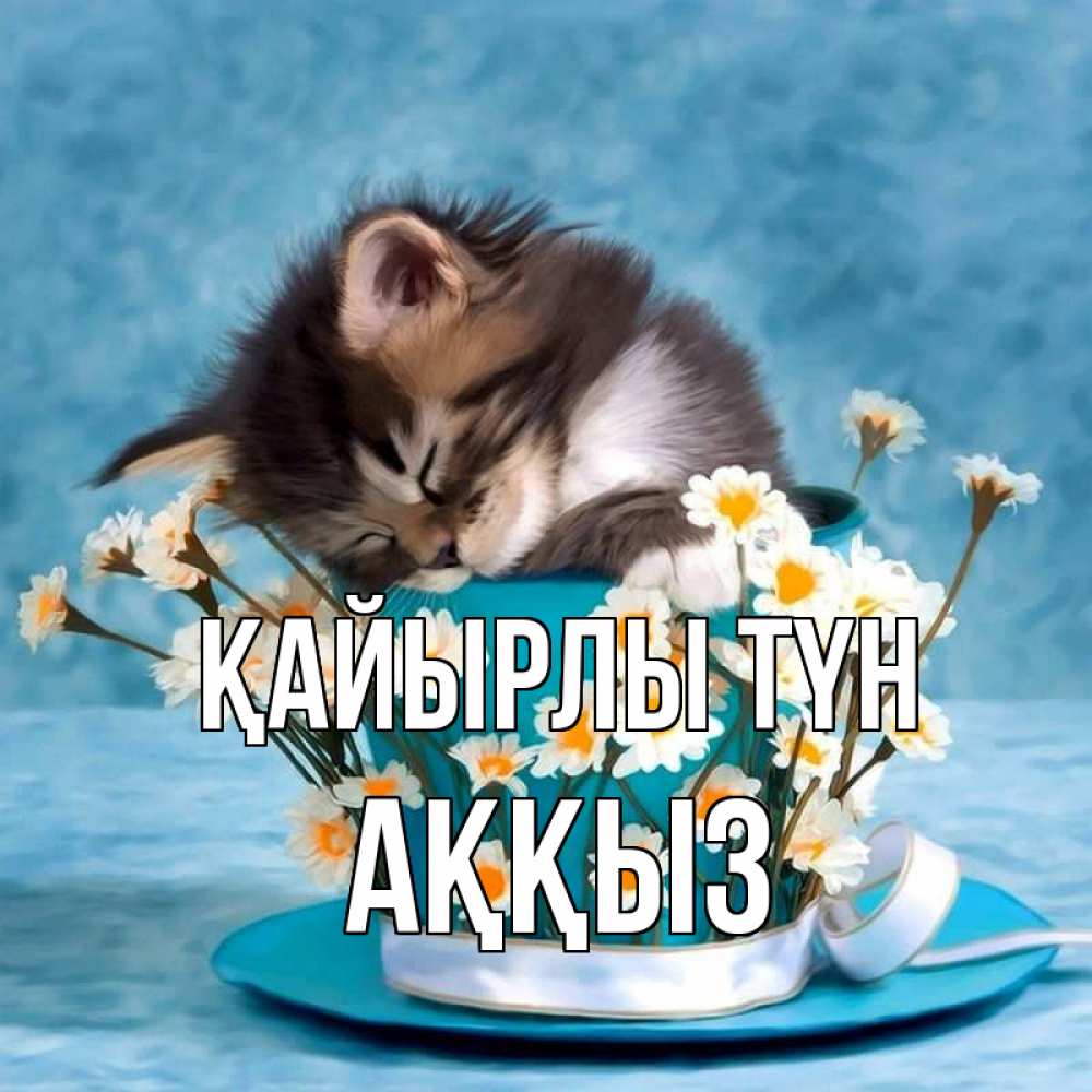 Күн сайын ашық хат с именем, АҚҚЫЗ Қайырлы түн котенок спит в кружке с блюдцем Онлайн тегін жүктеп алу тілектері бар керемет карта 