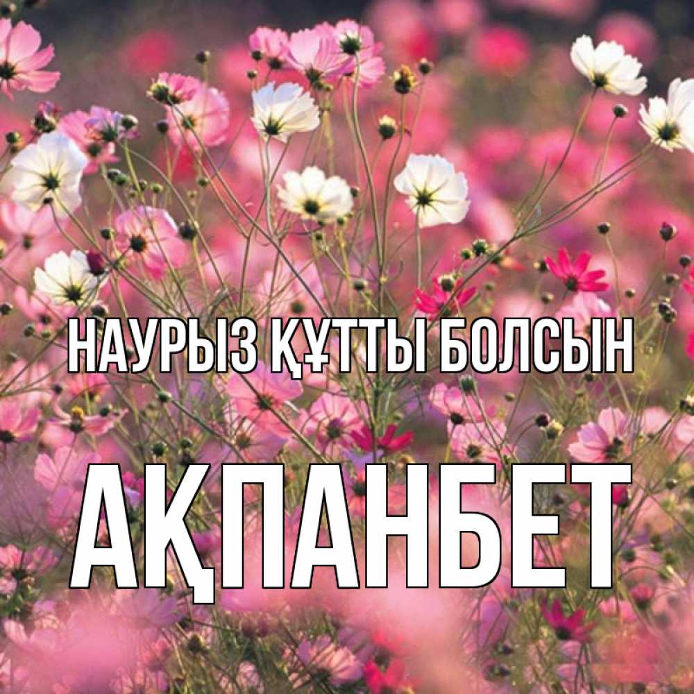 Күн сайын ашық хат с именем, Ақпанбет Наурыз құтты болсын красиво 1 Онлайн тегін жүктеп алу тілектері бар керемет карта 