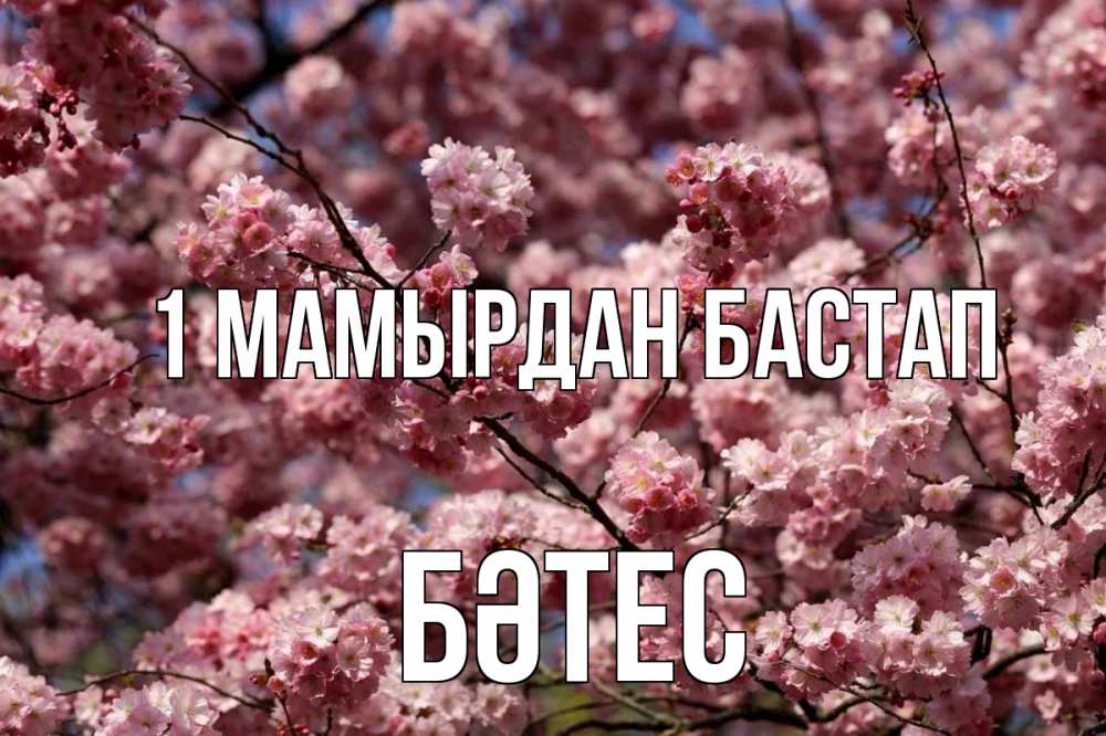 Күн сайын ашық хат с именем, БӘТЕС 1 мамырдан бастап С 1 мая Онлайн тегін жүктеп алу тілектері бар керемет карта 