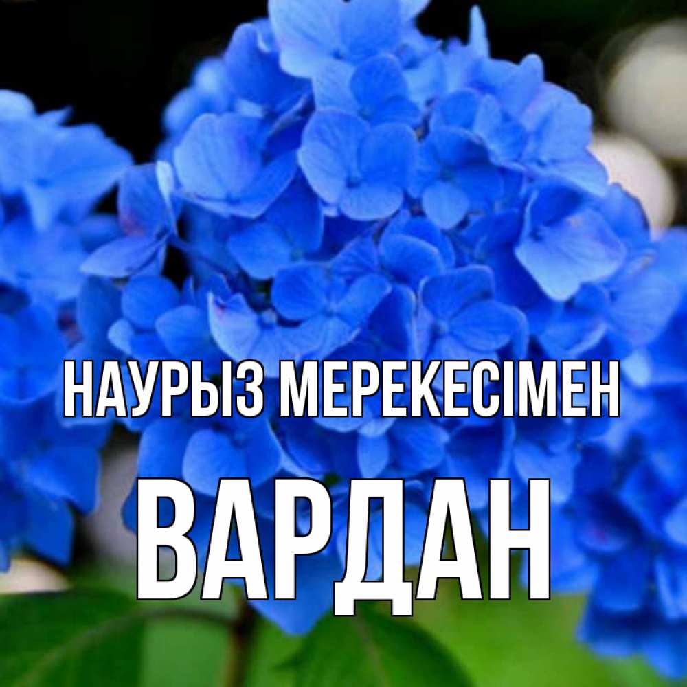 Күн сайын ашық хат с именем, Вардан Наурыз мерекесімен синие цветы Онлайн тегін жүктеп алу тілектері бар керемет карта 