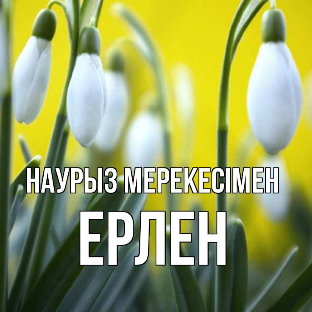 Күн сайын ашық хат с именем, Ерлен Наурыз мерекесімен весенние цветы Онлайн тегін жүктеп алу тілектері бар керемет карта 