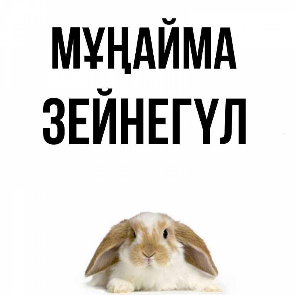 Күн сайын ашық хат с именем, ЗЕЙНЕГҮЛ Мұңайма коричнево белый заяц с большими ушками Онлайн тегін жүктеп алу тілектері бар керемет карта 