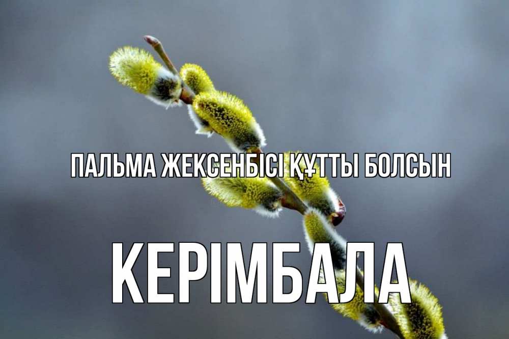 Күн сайын ашық хат с именем, КЕРІМБАЛА Пальма жексенбісі құтты болсын верба Онлайн тегін жүктеп алу тілектері бар керемет карта 